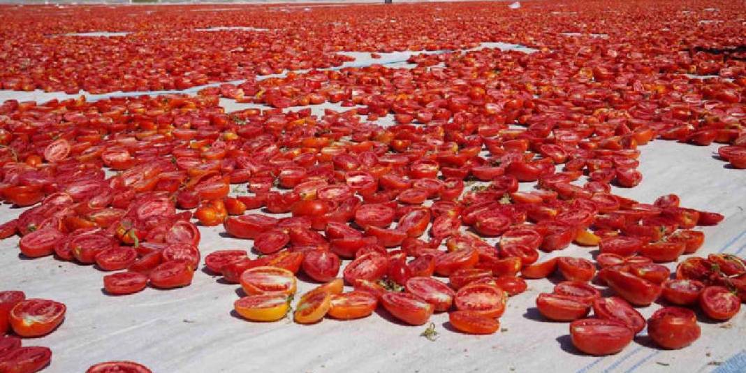 Emekle yetiştirildi, güneşte kurutuldu! Rusya, Amerika ve tüm Avrupa… Herkesin sofrasını şenlendiriyor 4